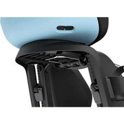 Thule Yepp Nexxt 2 Maxi Frame Mount Childseat Blue click to zoom image