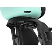 Thule Yepp Nexxt 2 Maxi Frame Mount Childseat Mint click to zoom image