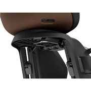 Thule Yepp Nexxt 2 Maxi Frame Mount Childseat Brown click to zoom image