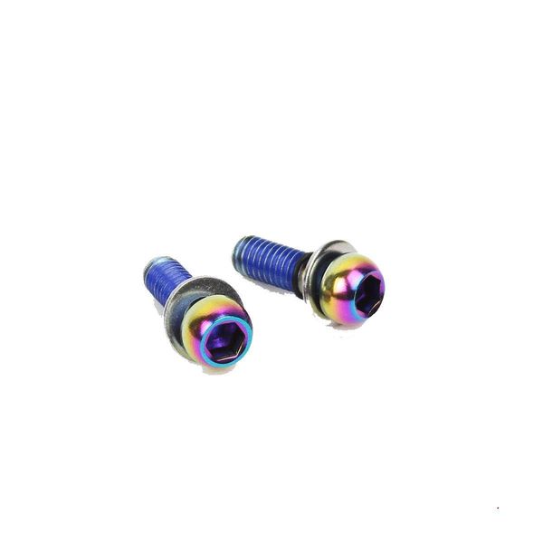 Sram Caliper Mounting Hardware (Also Direct Mount) Stainless Rainbow Bolts - Standard Mount: click to zoom image