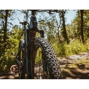 Schwalbe Smart Sam Plus Greenguard SnakeSkin 27.5x2.25 Refl click to zoom image