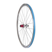 Halo Devaura Road Rear RS2 31mm deep, 24mm wide rim on RS2 hub, 16/8E 11sp Campag 