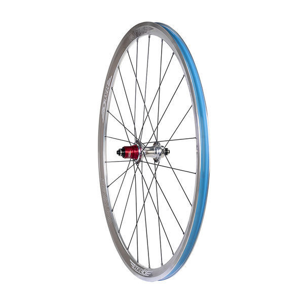 Halo Devaura Road Rear RS2 31mm deep, 24mm wide rim on RS2 hub, 16/8E 11sp Sram XD-R click to zoom image