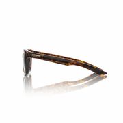 100% Erba Glasses - Gloss Havana / Gold Mirror Lens click to zoom image