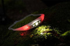 Knog Bandicoot Run 250 Head Torch - Lime click to zoom image