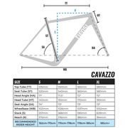 Tifosi Cavazzo Disc Ekar Hydro 13x Bike Bronze click to zoom image