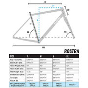 Tifosi Rostra Disc Tiagra Hydraulic Bike click to zoom image