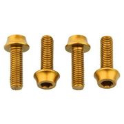 Wolf Tooth Water Bottle Cage Bolts 4 pcs 4 Pieces Gold  click to zoom image