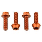 Wolf Tooth Water Bottle Cage Bolts 4 pcs 4 Pieces Orange  click to zoom image