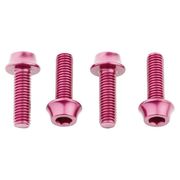 Wolf Tooth Water Bottle Cage Bolts 4 pcs 4 Pieces Pink  click to zoom image