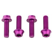 Wolf Tooth Water Bottle Cage Bolts 4 pcs 4 Pieces Purple  click to zoom image