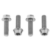 Wolf Tooth Water Bottle Cage Bolts 4 pcs 4 Pieces Silver  click to zoom image